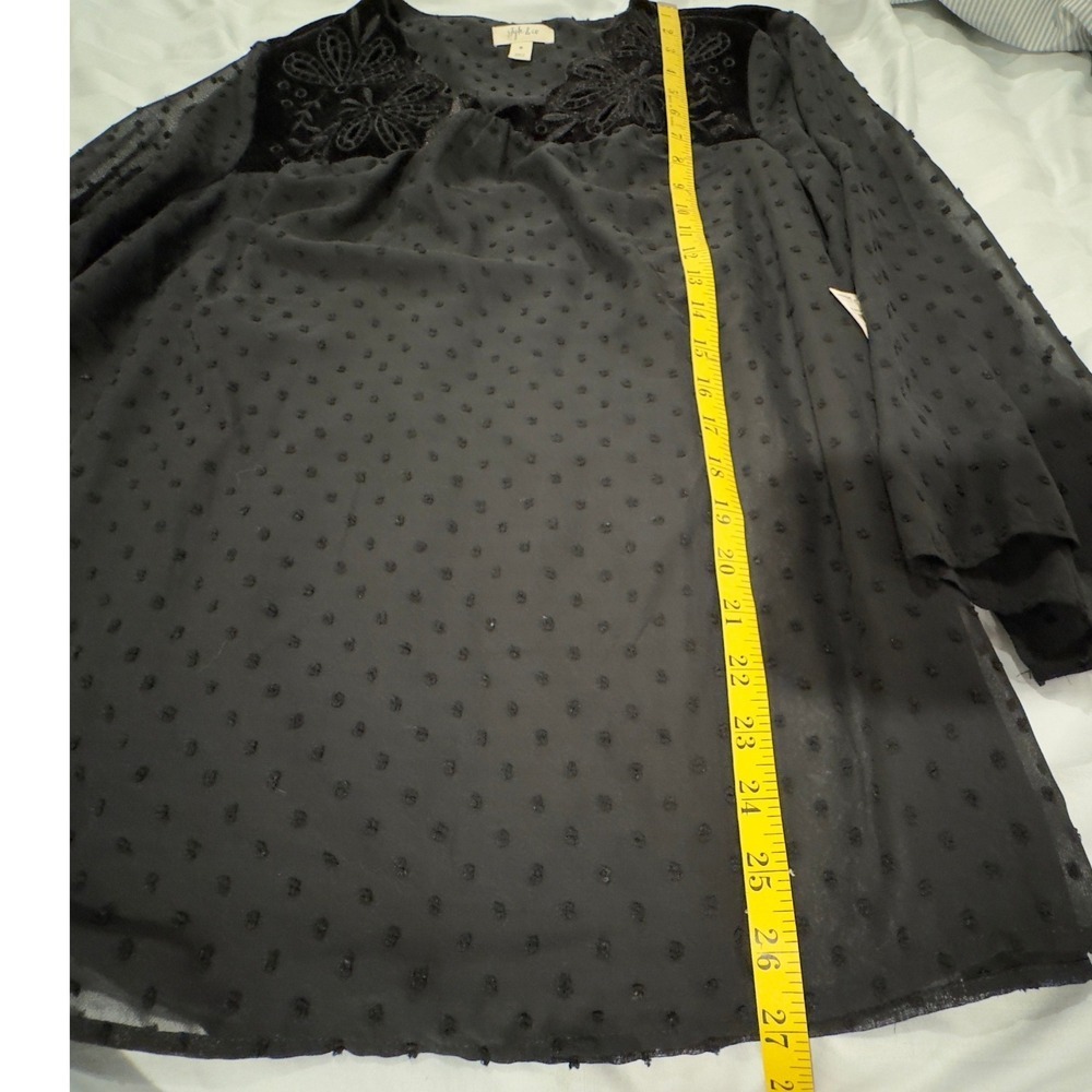 NEW Black Whimsigoth Sheer Swiss Dot Blouse M Velvet Embroidery Fairy Grunge - Picture 8 of 8